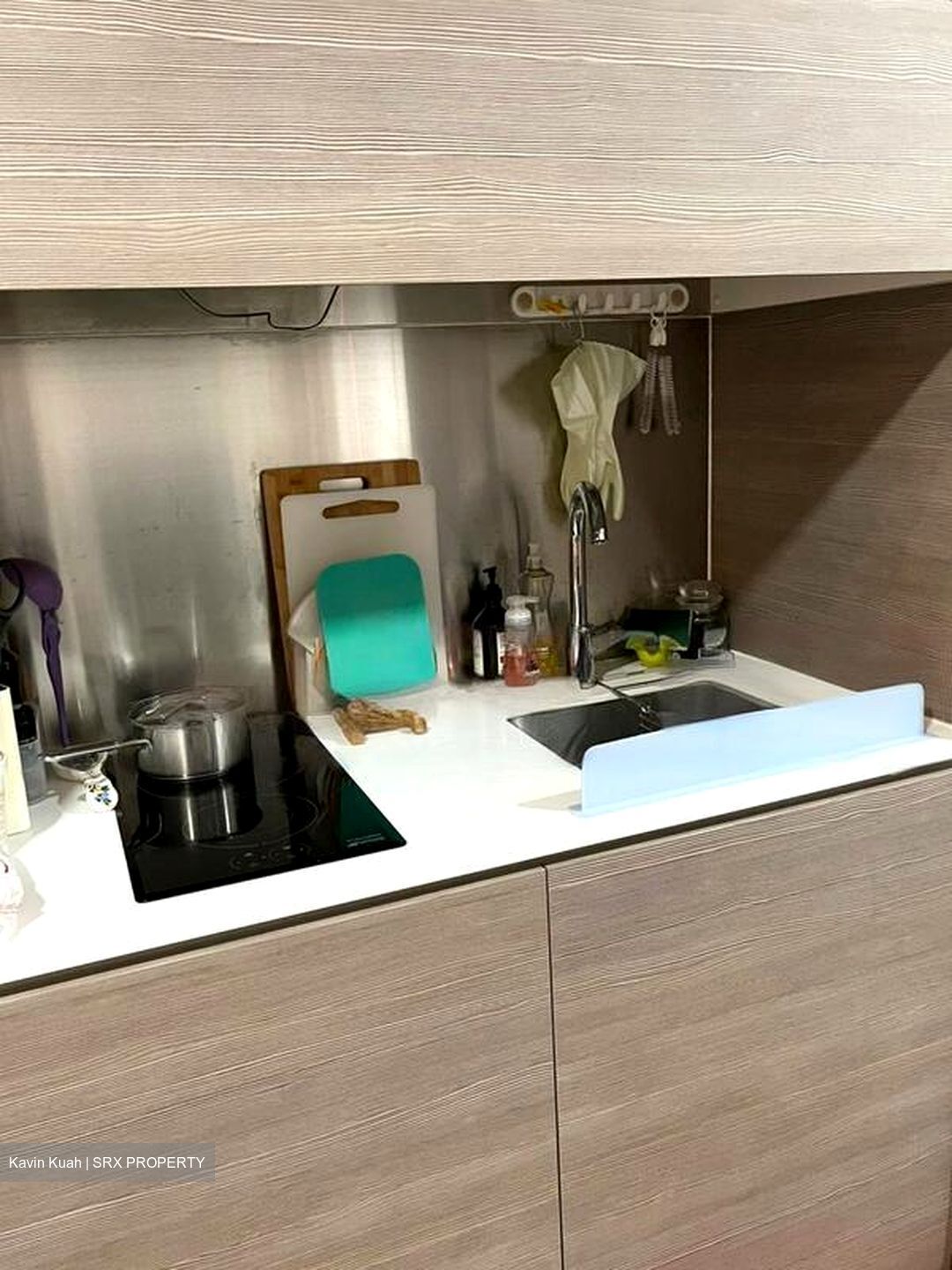 Seletar Park Residence (D28), Condominium #460625941